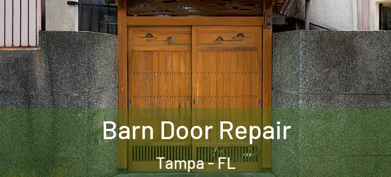  Barn Door Repair Tampa - FL