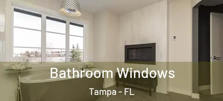  Bathroom Windows Tampa - FL