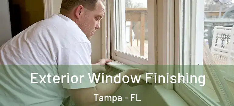  Exterior Window Finishing Tampa - FL