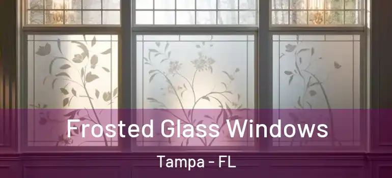  Frosted Glass Windows Tampa - FL