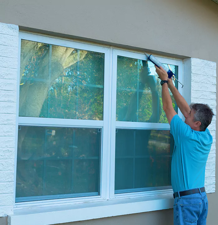 Modern Windows in Tampa, FL