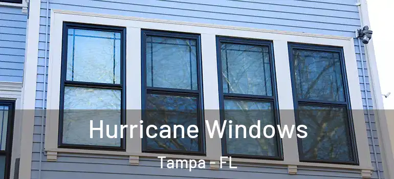  Hurricane Windows Tampa - FL