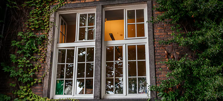 Energy Efficient Wood Windows in Tampa, FL