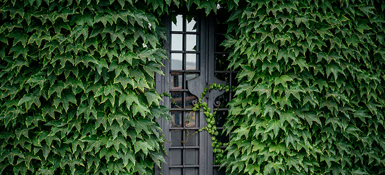 Garden Gate Repair in Tampa, FL