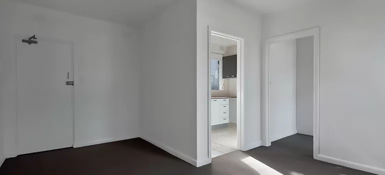 Dark Interior Doors in Tampa, FL