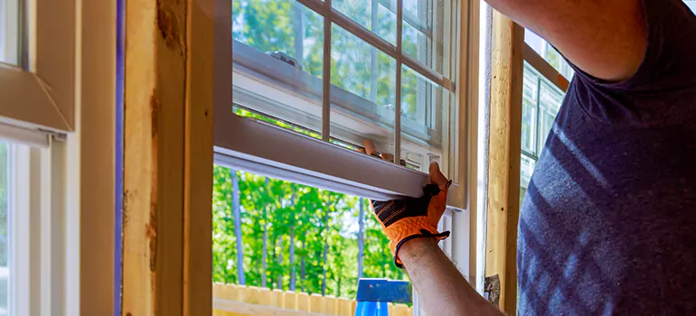 Decorative Window Film Services in Tampa, FL