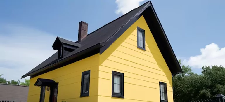 [Custom Black Windows in Tampa, FL
