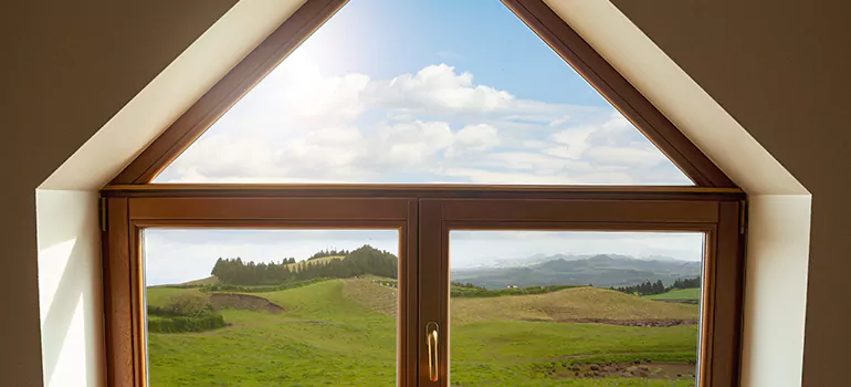 Trapezoid Window Maintenance in Tampa, FL