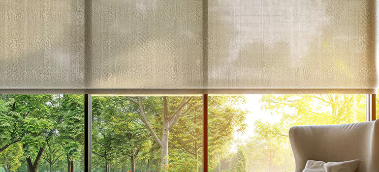 Custom Window Shades in Tampa, FL