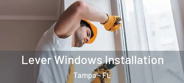  Lever Windows Installation Tampa - FL