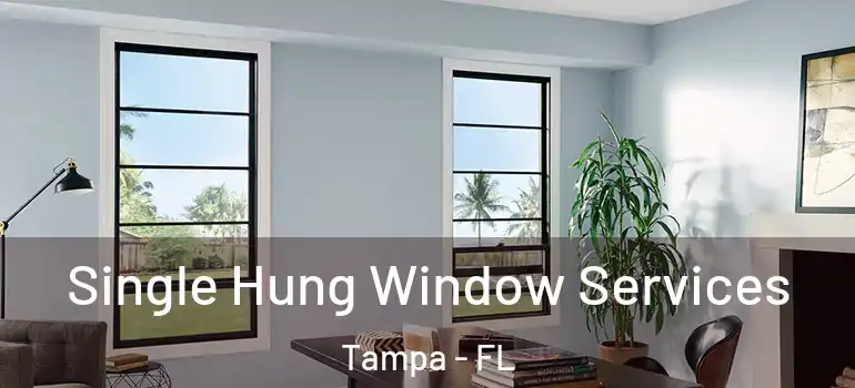  Single Hung Window Services Tampa - FL