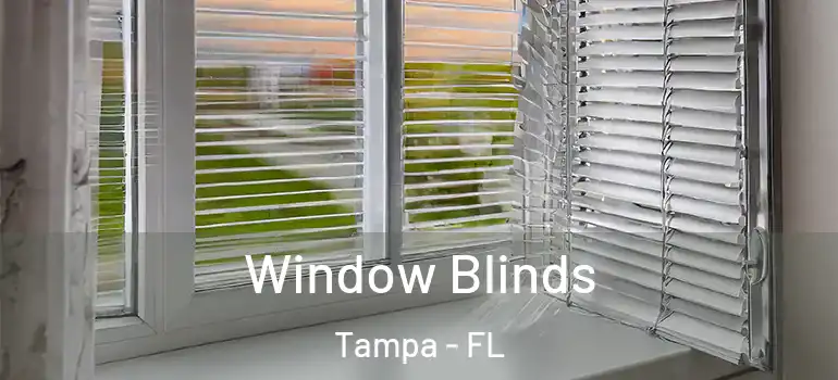  Window Blinds Tampa - FL