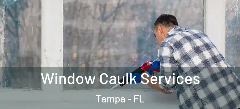  Window Caulk Services Tampa - FL