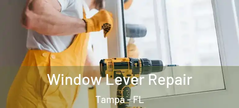 Window Lever Repair Tampa - FL