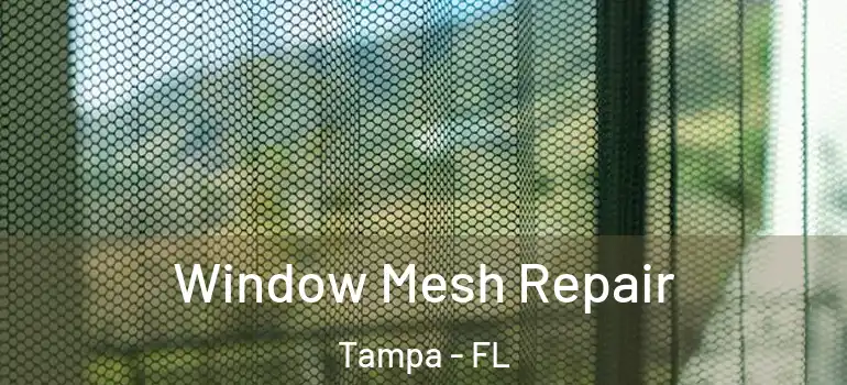  Window Mesh Repair Tampa - FL