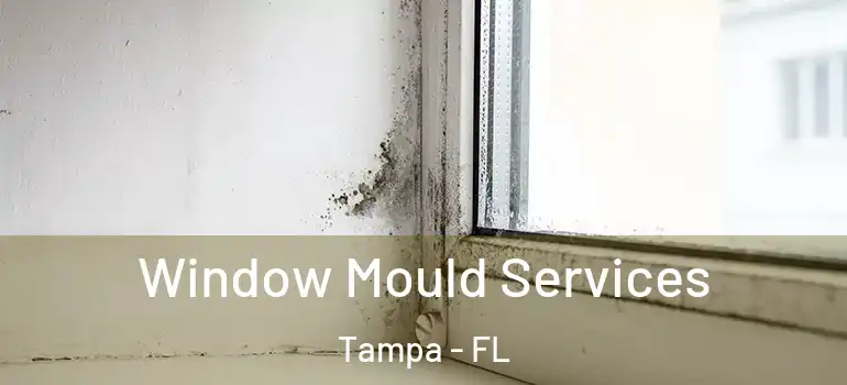  Window Mould Services Tampa - FL